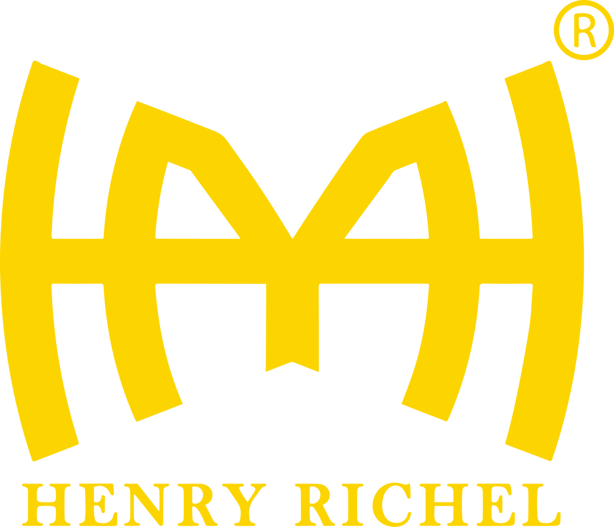 Henry richel sale sunglasses price