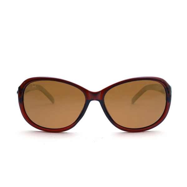 Brown To Brown Polarized Sunglasses 2244